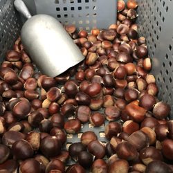 Grimo Nut Nursery - Freshly picked chestnuts