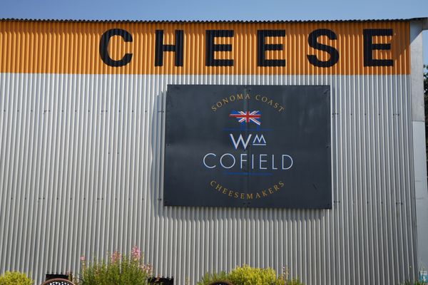 Wm Cofield Cheesemakers by null