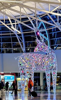 Charlotte Douglas International Airport by null