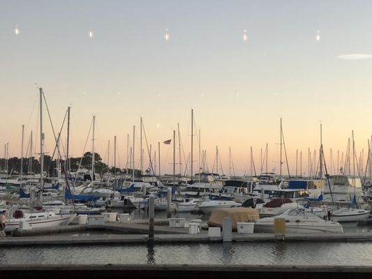 The Galley by null