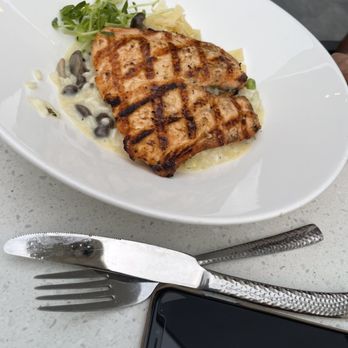 The Elm - Salmon risotto - New American Near Me - La Grange, Illinois