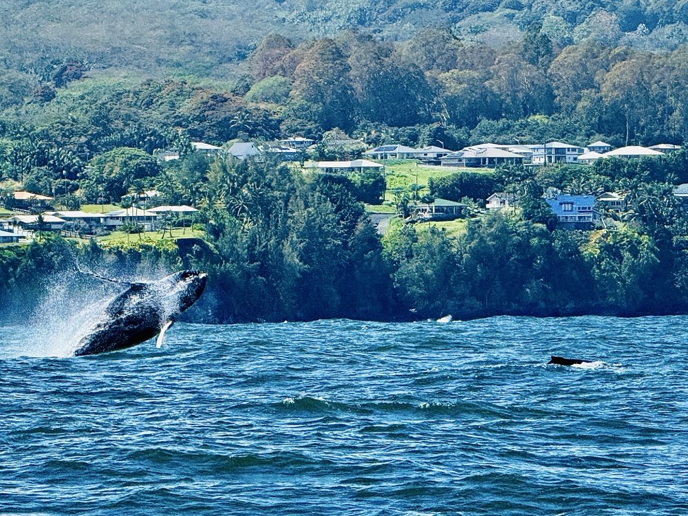Hilo Ocean Adventures