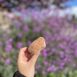 Happy Donuts - Cronut holes