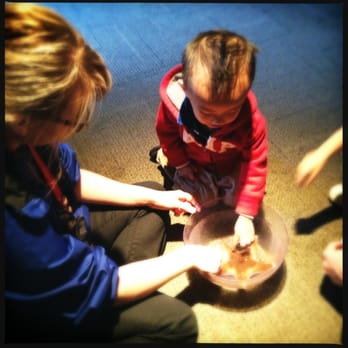 Seattle Aquarium - Staff help kids learn and touch star fish - Aquariums Near Me - Seattle, Washington Seattle Aquarium - Staff help kids learn and touch star fish - Aquariums Near Me - Seattle, Washington