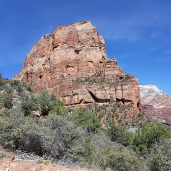 Angel's Landing - Hiking Near Me - Springdale, Utah Angel's Landing - Hiking Near Me - Springdale, Utah