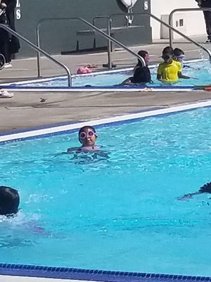 Hawthorne Pool by null