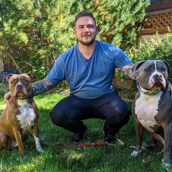 Coulter K9 - Pet Training Near Me Coulter K9 - Pet Training Near Me