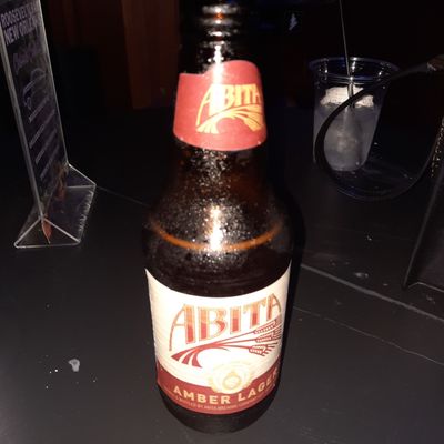 Roosevelt Hotel Bar by null