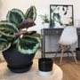 Photo of Cultivate: A Counseling Collective