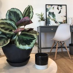 Cultivate: A Counseling Collective