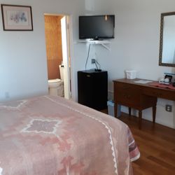 Desert View Inn - Dog receptive room