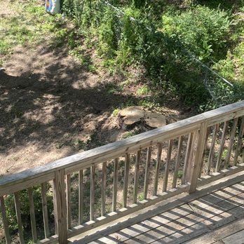 Myers Tree Service - Tree Services Near Me Myers Tree Service - Tree Services Near Me