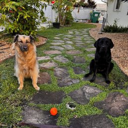 My two fur babies.