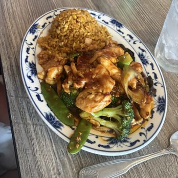 Dragon House - Chicken with garlic sauce - Chinese Near Me - Wildwood, New Jersey