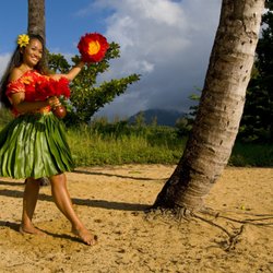Picnic Palace Hawaii