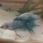 Photo of yuly's pet shop