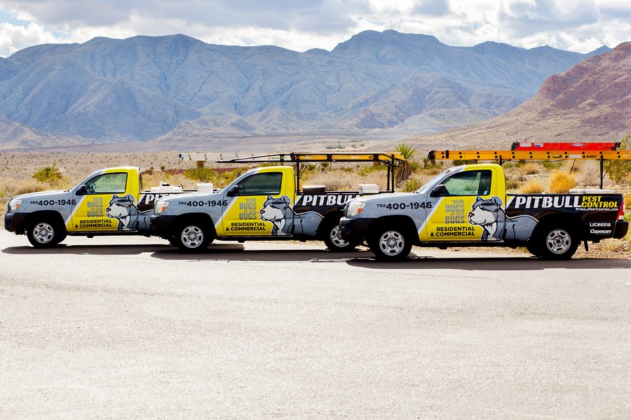 Pitbull Pest Control - veterans service organization in Las Vegas, NV