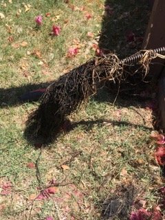 Slide of American Plumbing Solutions