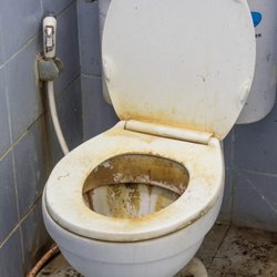 Corner Grocery - Bathroom is amazing