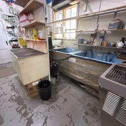 Minnows