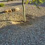 Photo of Vivid Landscaping