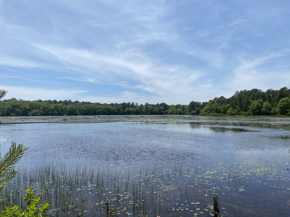 CALVERTON PONDS PRESERVE Updated June 2024 296 Old River Rd