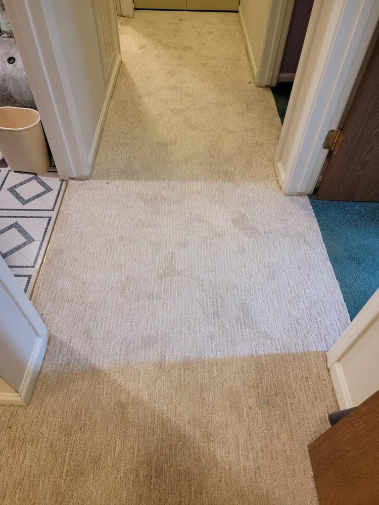 EMPIRE CARPET AND DUCT CLEANING Updated August 2024 12 Photos