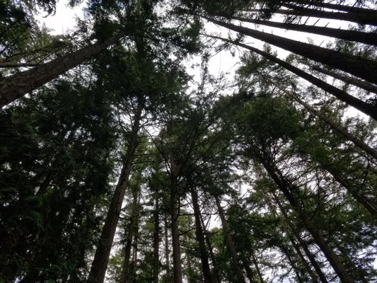 Baker Bay Park by null