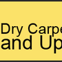 Photo of Bee Dry Carpet Cleaning