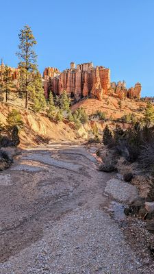 Mossy Cave Trailhead by null