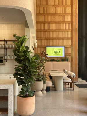 Treehouse by null