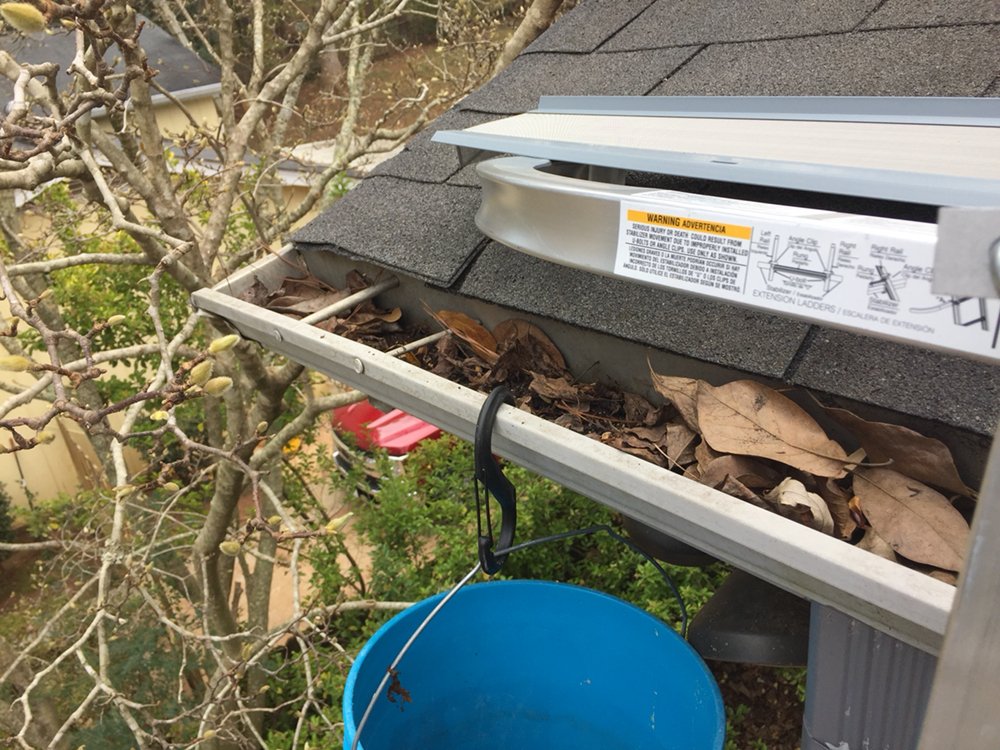 Slide of Leaf It to the Pros