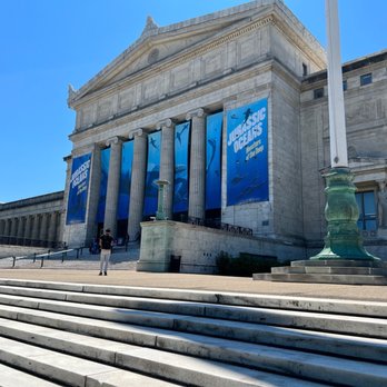 Field Museum - Field museum - Museums Near Me - Chicago, Illinois