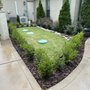 Photo of JPA Landscape