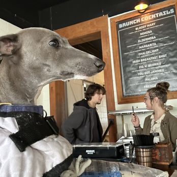 The Daily Ration - Dogba ordering - Breakfast & Brunch Near Me - Chattanooga, Tennessee The Daily Ration - Dogba ordering - Breakfast & Brunch Near Me - Chattanooga, Tennessee