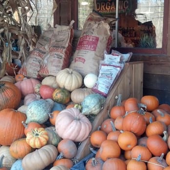 Sunfrost Farms - Fruits & Veggies Near Me - Woodstock, New York Sunfrost Farms - Fruits & Veggies Near Me - Woodstock, New York