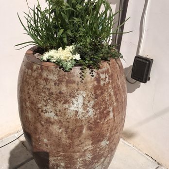 Sonoran Gardens - Succulent mix (pot from Mesquite Valley) - Landscaping Near Me - Tucson, Arizona