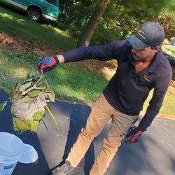 Aaa Exterminating - You da MAN, Travis!!!