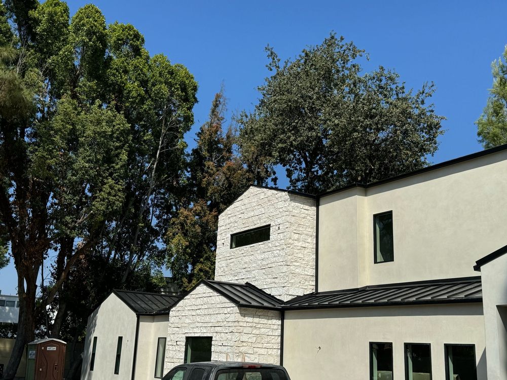 Slide of DLS Development