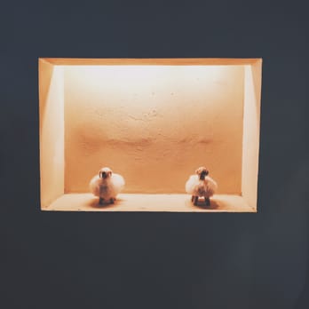 Kaffe Are - Sheep - Coffee & Tea Near Me - New York, New York Kaffe Are - Sheep - Coffee & Tea Near Me - New York, New York