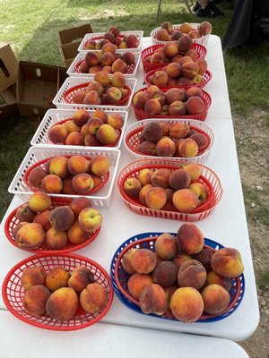 Fulshear Farmers Market by null