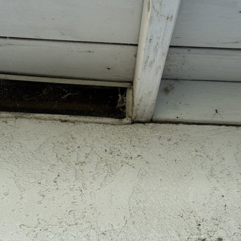 Pro Active Pest Control - Spiders everywhere since they haven't comeback - Pest Control Near Me - Tracy, California