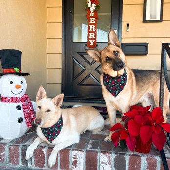 Dapper Dog Spa - Callie & Bubba - Pet Groomers Near Me - Whittier, California Dapper Dog Spa - Callie & Bubba - Pet Groomers Near Me - Whittier, California