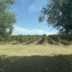 Enoturismo Cartuxa