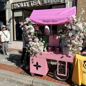 Molly Tea - Bubble Tea Near Me - San Mateo, California Molly Tea - Bubble Tea Near Me - San Mateo, California