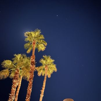 Mahala - View of the night sky from the outdoor lounge - Hotels Near Me - Palm Springs, California Mahala - View of the night sky from the outdoor lounge - Hotels Near Me - Palm Springs, California