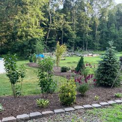 American Landscape and Lawn Science - Back privacy berm