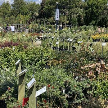 Regan Nursery - Nurseries & Gardening Near Me - Fremont, California Regan Nursery - Nurseries & Gardening Near Me - Fremont, California