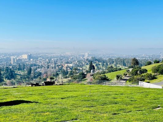 Piedmont Funeral Services and Mountain View Cemetery by null