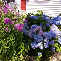 The Tuck Inn Bed & Breakfast